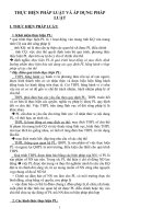 Tài liệu THỰC HIỆN PHÁP LUẬT VÀ ÁP DỤNG PHÁP LUẬT docx