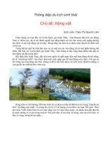 Thông điệp du lịch sinh thái chủ đề động vật 