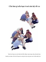 Tài liệu Cần làm gì nếu bạn ờ nơi cứu hộ rất xa pptx