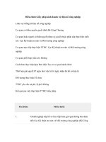 Tài liệu Điều chỉnh Giấy phép kinh doanh vật liệu nổ công nghiệp doc