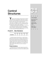 Tài liệu Javascript bible_ Chapter 31 pptx