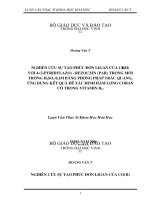 Nghiên cứu sự tạo phức đơn ligan của co (II) với 4   (2   pyridylazo)   rezõcin (pả) trong môi trường h2 so4 ,1m bằng phương pháp trắc quang, ứng dụng kết quả để xác định hàm lượng coban có trong vitamin b12 