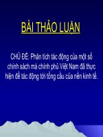 Tài liệu Bài thảo luận chủ đề: Phân tích tác động của một số chính sách mà chính phủ Việt Nam đã thực hiện để tác động tới tổng cầu của nền kinh tế pdf