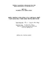 Bài soạn SKKN về công tác phổ cập TH ĐĐT.doc