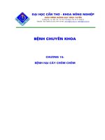 Tài liệu Bệnh hại cây chôm chôm ppt