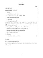  WTO và vai trò của WTO trong giải quyết các tranh chấp thương mại quốc tế