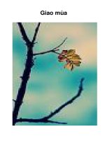 Tài liệu Giao mùa pdf