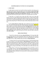 Tài liệu HỆ THỐNG HOÀN LƯU NƯỚC CỦA CÁC ĐẠI DƯƠNG docx