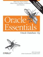Tài liệu Oracle Essentials Oracle Database 11g P1 pdf