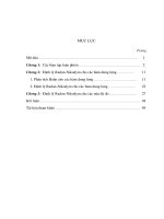 Định lí radon nikodym cho các hàm dung lượng và các nửa độ đo 