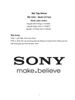 phân tích phương pháp ứng dụng thuyết tạo động lực tập đoàn Sony