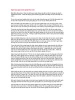 Tài liệu Ngân hàng ngại doanh nghiệp Nhà nước! pptx