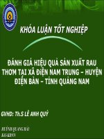 Slide ĐÁNH GIÁ HIỆU QUẢ sản XUẤT RAU THƠM tại xã điện NAM TRUNG – HUYỆN điện bàn – TỈNH QUẢNG NAM 