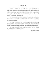 Nghiên cứu một số chỉ số sinh lý, thể lực và một số bệnh thường gặp ở người cao tuổi một số vùng thuộc tỉnh thanh hoá 