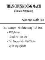 Tài liệu Bài giảng Thân chung động mạch ppt
