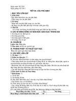 Tài liệu tiet 94: cau phu dinh