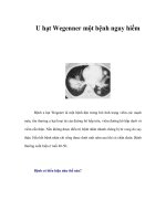 Tài liệu U hạt Wegenner một bệnh nguy hiểm docx