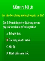 Gián án Bài 43: Quần xã sinh vật