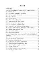 Thiết kế hệ thống ghép nối máy tính đo lường nhiều kênh 