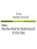 PHƯƠNG PHÁP số TRONG đại số TUYẾN TÍNH 