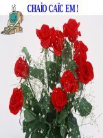 Bài giảng bài 30 bài tập về quang hệ