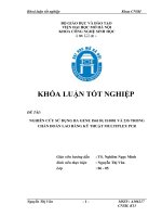 Khóa luận nghiên cứu sử dụng ba gene IS6110; IS1081 và 23s trong chẩn đoán lao bằng kỹ thuật multiplex PCR 