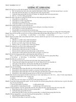 Bài soạn luong tu anh sang (kèm 2)