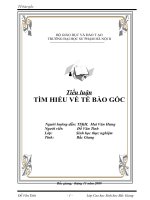 Gián án Tieu luan Tế bào gốc