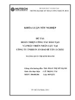 Hoàn thiện công tác đào tạo và phát triển nhân lực tại công ty in ấn bao bi tân á châu 