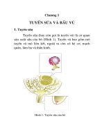 Tài liệu Khai thác sữa -Năng suất - chất lượng - vệ sinh -Chương 1 ppt