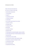 Tài liệu Nội dung hồ sơ mời thầu mua sắm hàng hoá ppt