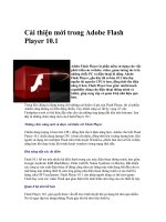 Tài liệu Cải thiện mới trong Adobe Flash Player 10.1 ppt
