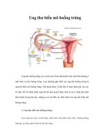 Tài liệu Ung thư biểu mô buồng trứng docx