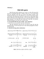 Tài liệu Chương 3: Đột biến gene doc
