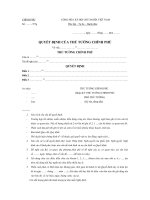 Tài liệu Quyết định của thủ tướng chính phủ pptx