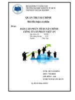 BÁO cáo PHÂN TÍCH tài CHÍNH CÔNG TY cổ PHẦN VIỆT AN 