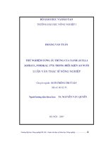 Thử nghiệm ương ấu trùng cua xanh (scylla serata, forskal 1775) trong điều kiện ao nuôi 