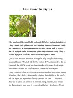 Tài liệu Làm thuốc từ cây na docx