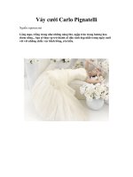 Tài liệu Váy cưới Carlo Pignatelli pdf