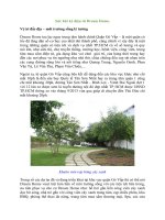 Sức hút kỳ diệu từ dream home 