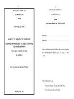 Nghiên cứu hiện trạng và đề xuất giải pháp quản lý chất thải rắn nylon tại thành phố đà nẵng 