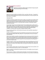 Tài liệu Chức năng và hoạt động của quỹ đầu tư pptx