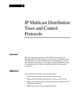 Tài liệu IP Multicast Distribution Trees and Control Protocols docx