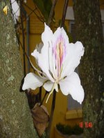 Tài liệu Ăn phối hợp