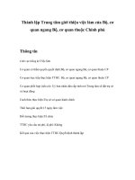 Tài liệu Thành lập Trung tâm giới thiệu việc làm của Bộ, cơ quan ngang Bộ, cơ quan thuộc Chính phủ docx