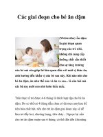 Tài liệu Các giai đoạn cho bé ăn dặm docx