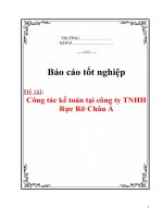 Tài liệu Báo cáo thực tập :