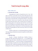 Tài liệu Nuôi Sò huyết trong đầm ppt