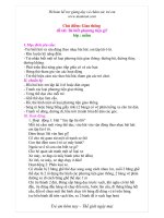 Tài liệu bediphuongtiengi pptx