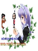 Tài liệu Bài thuyết trình - Công nghệ sinh học pdf